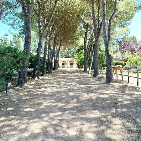 Apartament Turfrose Di San Rossore A By Zoom In Earth *